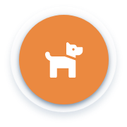cb Pet and Large Animal Preparedness